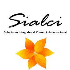 icono de la pagina