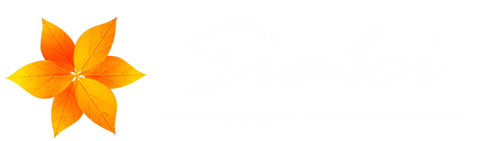 Soluciones Integrales al comercio internacional